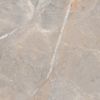 Picture of Alanya Coffee Polished Tile 60x60 cm