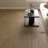 Picture of Everwood Beige Matt Wood Effect Tile 20x120 cm